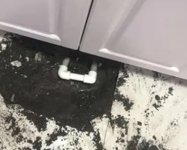 黄骅查漏水哪家好